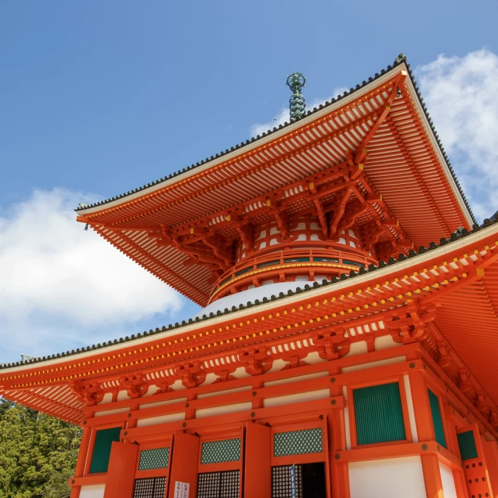 JAPONIA INEDITĂ